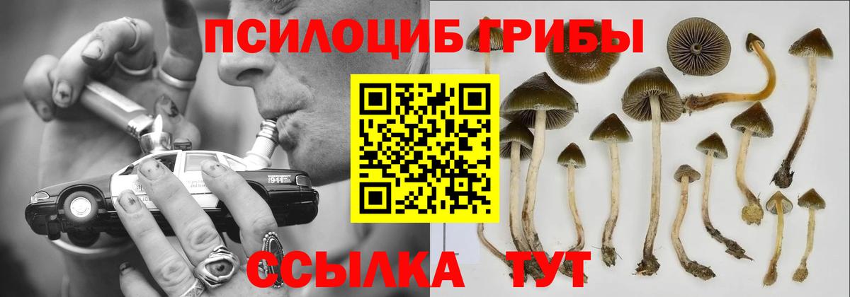 Псилоцибиновые грибы мухоморы  Галлюциногенные грибы мицелий  Реутов  Вход с VPN 